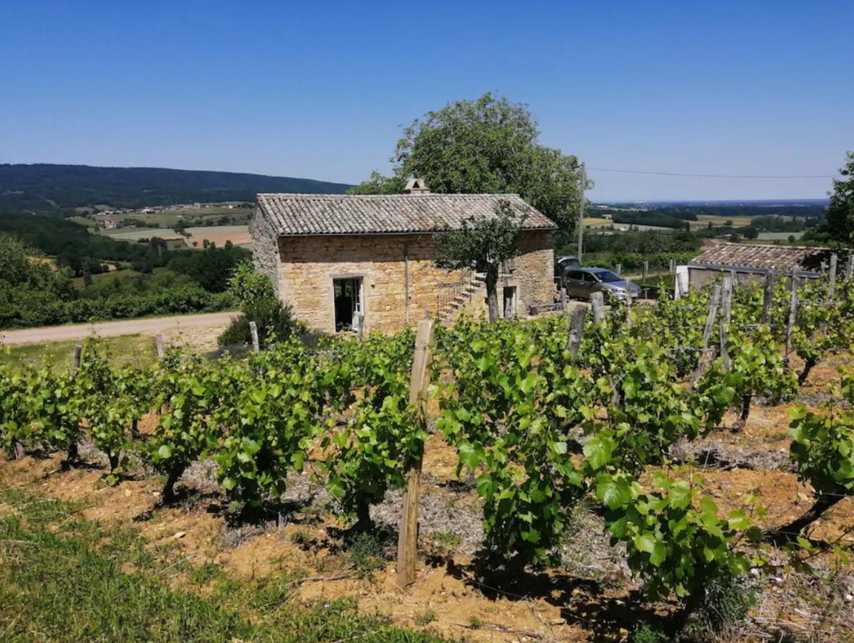 Une Maison De Campagne En Bourgogne Du Sud Tournus Bagian luar foto