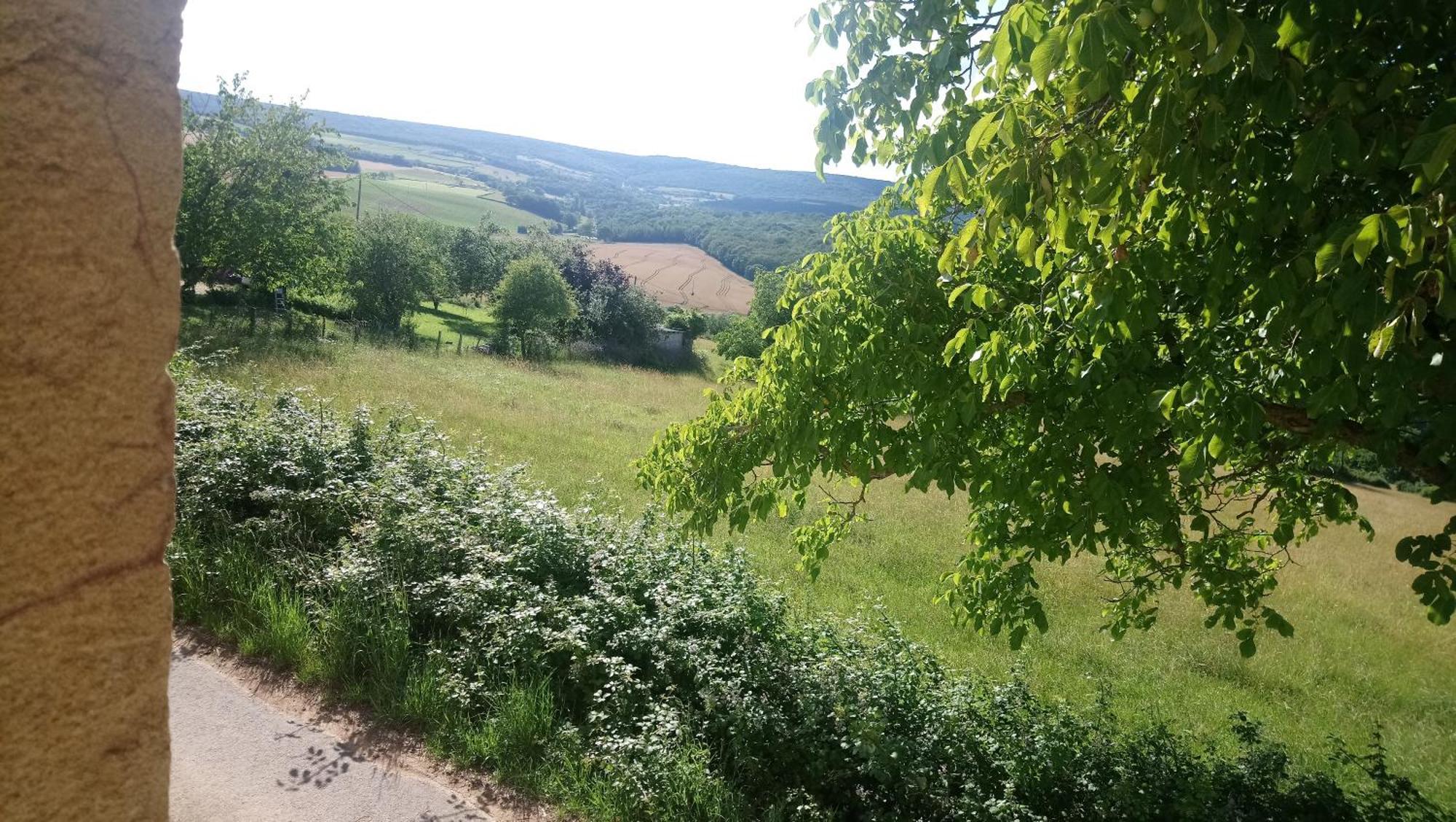 Une Maison De Campagne En Bourgogne Du Sud Tournus Bagian luar foto